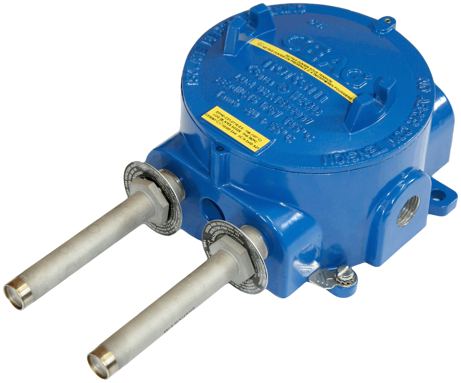 EPHD C31